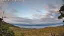./images/calvert/fitz-hugh-hecate/20260608/fitz-hugh-hecate20260608_212001M.jpg