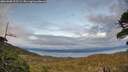 ./images/calvert/fitz-hugh-hecate/20260608/fitz-hugh-hecate20260608_212501M.jpg