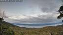 ./images/calvert/fitz-hugh-hecate/20260608/fitz-hugh-hecate20260608_214501M.jpg