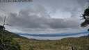 ./images/calvert/fitz-hugh-hecate/20260608/fitz-hugh-hecate20260608_220001M.jpg