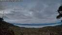 ./images/calvert/fitz-hugh-hecate/20260608/fitz-hugh-hecate20260608_221501M.jpg