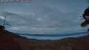 ./images/calvert/fitz-hugh-hecate/20260608/fitz-hugh-hecate20260608_222501M.jpg