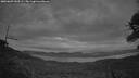 ./images/calvert/fitz-hugh-hecate/20260609/fitz-hugh-hecate20260609_043501M.jpg