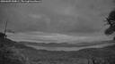 ./images/calvert/fitz-hugh-hecate/20260609/fitz-hugh-hecate20260609_044001M.jpg
