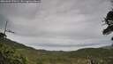 ./images/calvert/fitz-hugh-hecate/20260609/fitz-hugh-hecate20260609_070501M.jpg