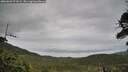 ./images/calvert/fitz-hugh-hecate/20260609/fitz-hugh-hecate20260609_071001M.jpg