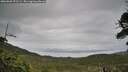 ./images/calvert/fitz-hugh-hecate/20260609/fitz-hugh-hecate20260609_071501M.jpg