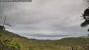 ./images/calvert/fitz-hugh-hecate/20260609/fitz-hugh-hecate20260609_072501M.jpg