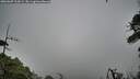./images/calvert/fitz-hugh-hecate/20260609/fitz-hugh-hecate20260609_103002M.jpg