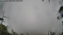 ./images/calvert/fitz-hugh-hecate/20260609/fitz-hugh-hecate20260609_121001M.jpg
