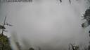 ./images/calvert/fitz-hugh-hecate/20260609/fitz-hugh-hecate20260609_121502M.jpg