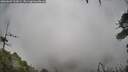 ./images/calvert/fitz-hugh-hecate/20260609/fitz-hugh-hecate20260609_122001M.jpg