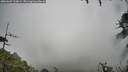 ./images/calvert/fitz-hugh-hecate/20260609/fitz-hugh-hecate20260609_133001M.jpg