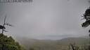 ./images/calvert/fitz-hugh-hecate/20260609/fitz-hugh-hecate20260609_183002M.jpg