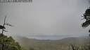 ./images/calvert/fitz-hugh-hecate/20260609/fitz-hugh-hecate20260609_184001M.jpg