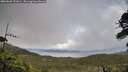 ./images/calvert/fitz-hugh-hecate/20260609/fitz-hugh-hecate20260609_191001M.jpg
