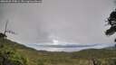./images/calvert/fitz-hugh-hecate/20260609/fitz-hugh-hecate20260609_194001M.jpg