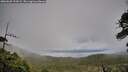 ./images/calvert/fitz-hugh-hecate/20260609/fitz-hugh-hecate20260609_194501M.jpg