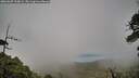 ./images/calvert/fitz-hugh-hecate/20260609/fitz-hugh-hecate20260609_200002M.jpg