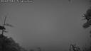 ./images/calvert/fitz-hugh-hecate/20260609/fitz-hugh-hecate20260609_224001M.jpg
