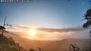 ./images/calvert/fitz-hugh-hecate/20260610/fitz-hugh-hecate20260610_054501M.jpg
