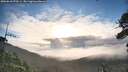./images/calvert/fitz-hugh-hecate/20260610/fitz-hugh-hecate20260610_070501M.jpg