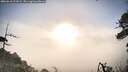 ./images/calvert/fitz-hugh-hecate/20260610/fitz-hugh-hecate20260610_071001M.jpg