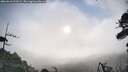 ./images/calvert/fitz-hugh-hecate/20260610/fitz-hugh-hecate20260610_072002M.jpg