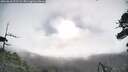 ./images/calvert/fitz-hugh-hecate/20260610/fitz-hugh-hecate20260610_072502M.jpg