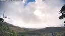 ./images/calvert/fitz-hugh-hecate/20260610/fitz-hugh-hecate20260610_073501M.jpg