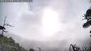 ./images/calvert/fitz-hugh-hecate/20260610/fitz-hugh-hecate20260610_074001M.jpg