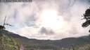 ./images/calvert/fitz-hugh-hecate/20260610/fitz-hugh-hecate20260610_075001M.jpg