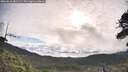./images/calvert/fitz-hugh-hecate/20260610/fitz-hugh-hecate20260610_081501M.jpg