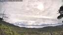 ./images/calvert/fitz-hugh-hecate/20260610/fitz-hugh-hecate20260610_083501M.jpg