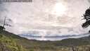 ./images/calvert/fitz-hugh-hecate/20260610/fitz-hugh-hecate20260610_084501M.jpg