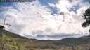 ./images/calvert/fitz-hugh-hecate/20260610/fitz-hugh-hecate20260610_090502M.jpg