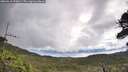 ./images/calvert/fitz-hugh-hecate/20260610/fitz-hugh-hecate20260610_095001M.jpg