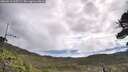 ./images/calvert/fitz-hugh-hecate/20260610/fitz-hugh-hecate20260610_100501M.jpg