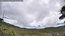 ./images/calvert/fitz-hugh-hecate/20260610/fitz-hugh-hecate20260610_102001M.jpg