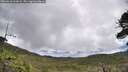 ./images/calvert/fitz-hugh-hecate/20260610/fitz-hugh-hecate20260610_103001M.jpg