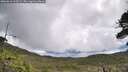 ./images/calvert/fitz-hugh-hecate/20260610/fitz-hugh-hecate20260610_103501M.jpg