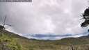 ./images/calvert/fitz-hugh-hecate/20260610/fitz-hugh-hecate20260610_104001M.jpg
