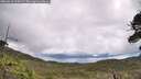 ./images/calvert/fitz-hugh-hecate/20260610/fitz-hugh-hecate20260610_104502M.jpg