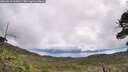./images/calvert/fitz-hugh-hecate/20260610/fitz-hugh-hecate20260610_105002M.jpg