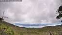 ./images/calvert/fitz-hugh-hecate/20260610/fitz-hugh-hecate20260610_110002M.jpg