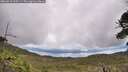 ./images/calvert/fitz-hugh-hecate/20260610/fitz-hugh-hecate20260610_110501M.jpg