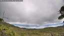 ./images/calvert/fitz-hugh-hecate/20260610/fitz-hugh-hecate20260610_111501M.jpg