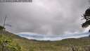 ./images/calvert/fitz-hugh-hecate/20260610/fitz-hugh-hecate20260610_112002M.jpg