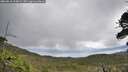 ./images/calvert/fitz-hugh-hecate/20260610/fitz-hugh-hecate20260610_113001M.jpg