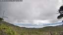 ./images/calvert/fitz-hugh-hecate/20260610/fitz-hugh-hecate20260610_113502M.jpg